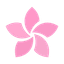 Starry Logo